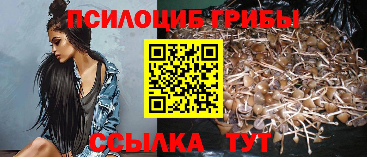 Видное  Псилоцибиновые грибы Psilocybine cubensis  Галлюциногенные грибы Psilocybe  Вход с VPN 