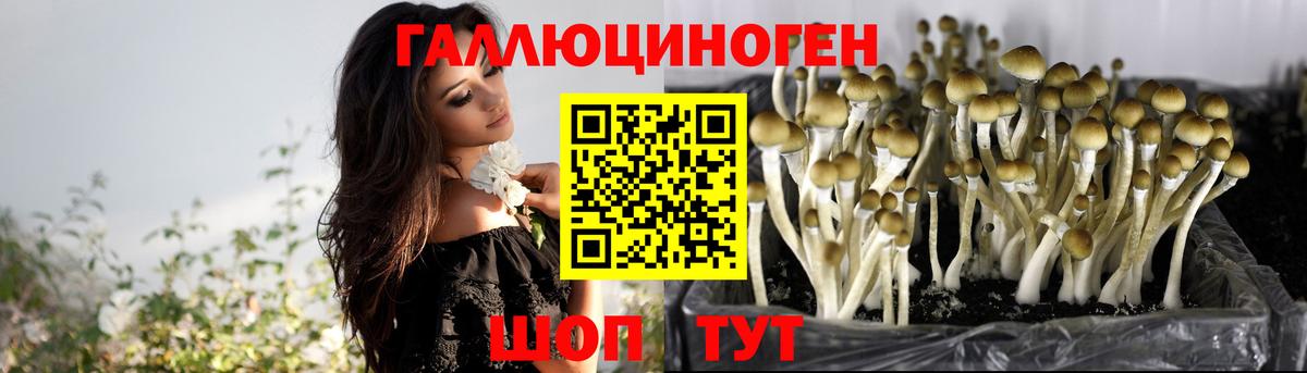Псилоцибиновые грибы GOLDEN TEACHER Видное